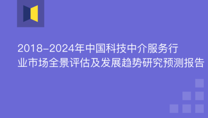2018-2024年中国科技中介服务行业市场全景评估及发展趋势研究预测报告